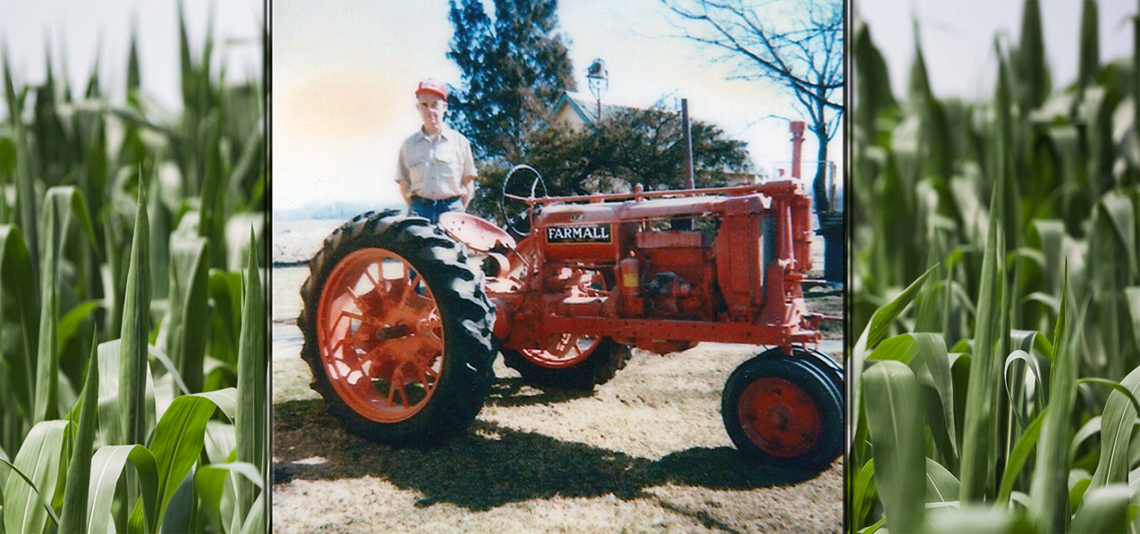 Cornfield (Warren Smith) PROOF